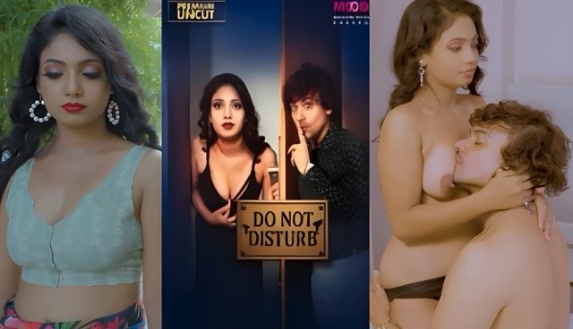 Do Not Disturb E01 2025 Uncut Hindi Web Series – MoodX